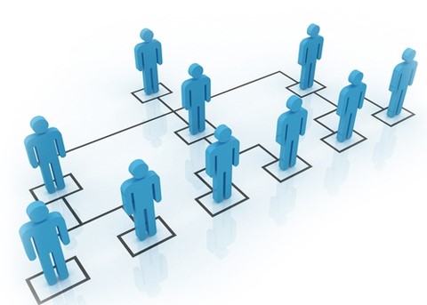 tư vấn quản lý